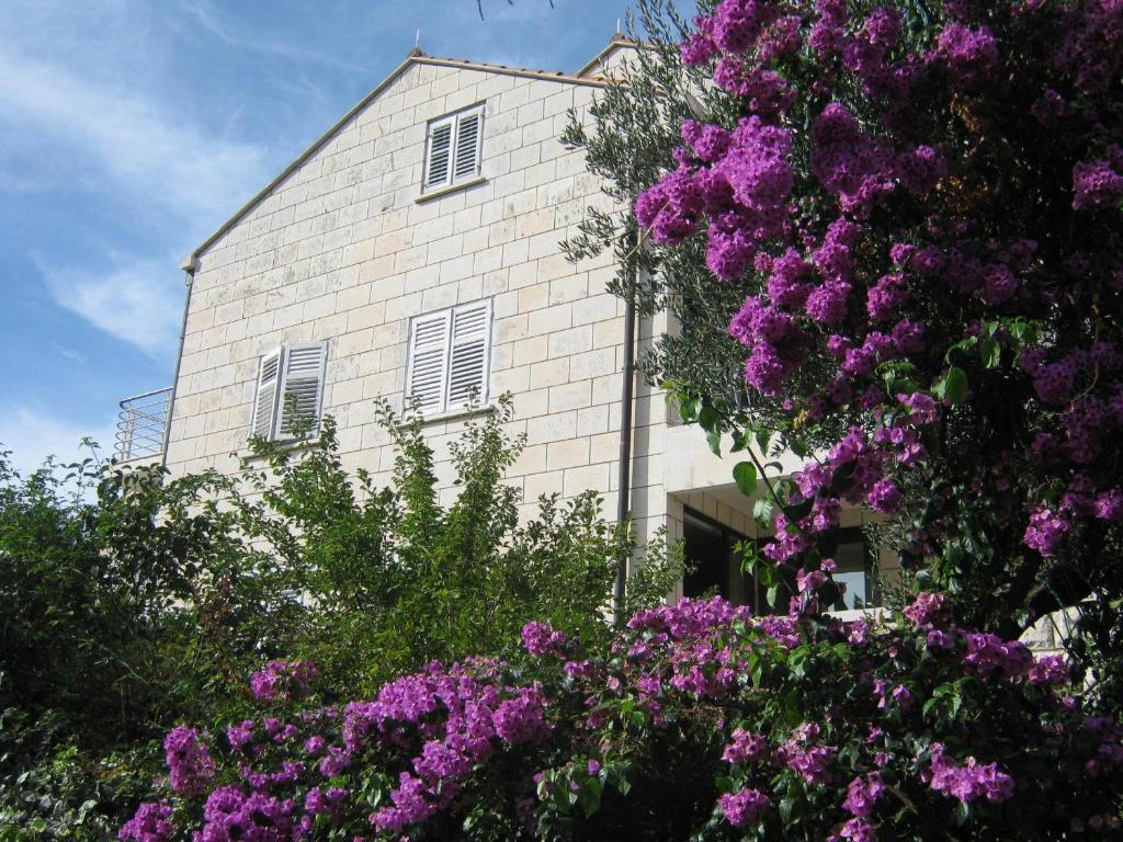 Apartments And Rooms Artemida Dubrovnik Exterior foto